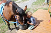 Jízda na koni s principem hipoterapie